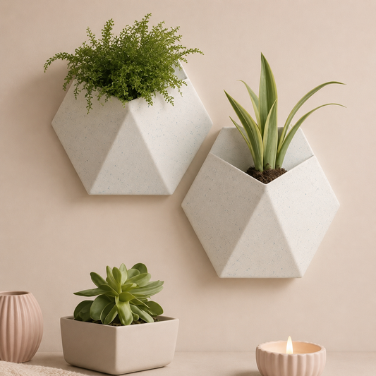 Wall Mounted Minimalist Planter