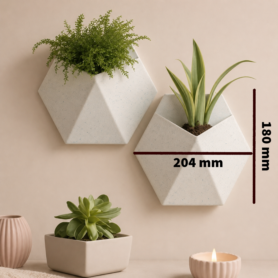 Wall Mounted Minimalist Planter
