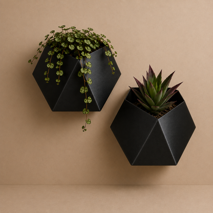 Wall Mounted Minimalist Planter