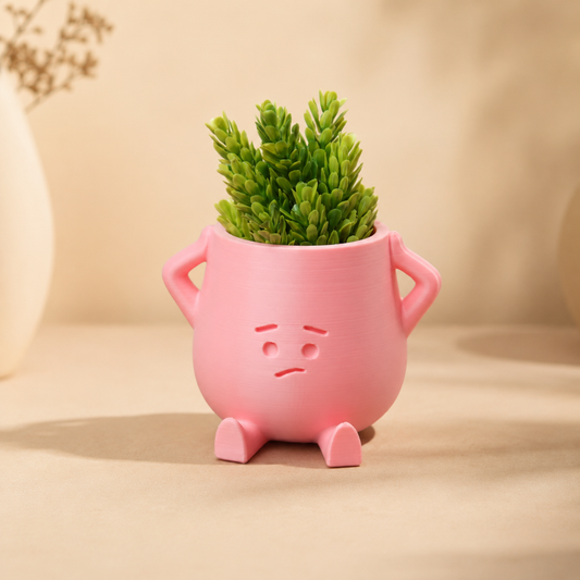 Desk Mood Planter (Select Your Mood)