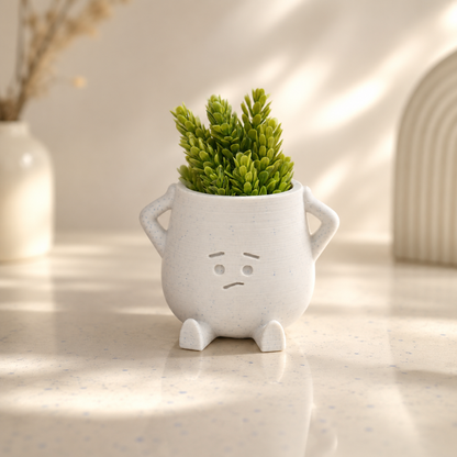Desk Mood Planter (Select Your Mood)