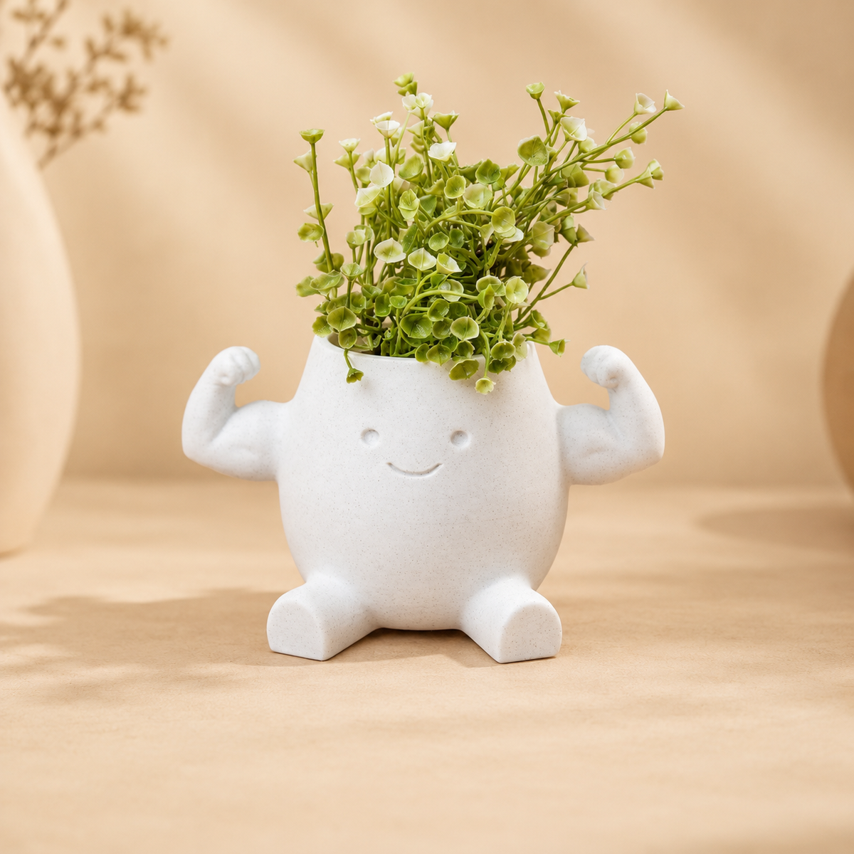 Desk Mood Planter (Select Your Mood)