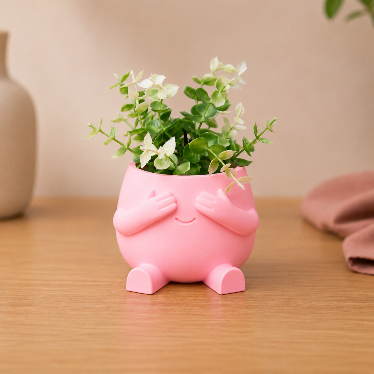 Desk Mood Planter (Select Your Mood)